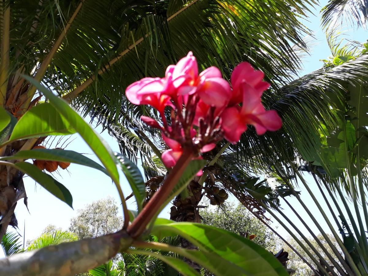 Brahmanhut - Eco Hut Experience In Harmony With Nature, Wellbeing And Spirit Bain Boeuf 外观 照片