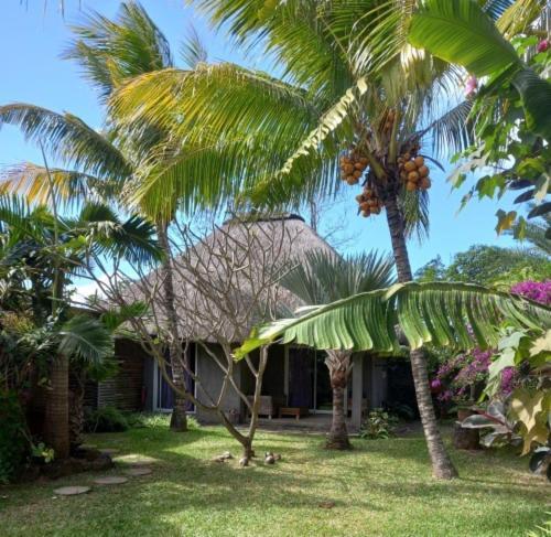 Brahmanhut - Eco Hut Experience In Harmony With Nature, Wellbeing And Spirit Bain Boeuf 外观 照片