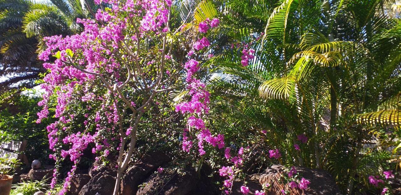 Brahmanhut - Eco Hut Experience In Harmony With Nature, Wellbeing And Spirit Bain Boeuf 外观 照片